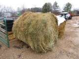 (10) 5X5 ROLLS OF DRY HAY IN THE BARN - 10X TIMES THE PRICE