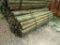 APPROX (60) 4' X 7 1/2' TREATED FENCE POST