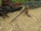 3PT SPEAR