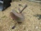 30'' PHD AUGER