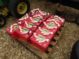 13 - BATTERIES - ALL ONE PRICE