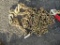 NEW 20FT GRADE 70 LOG CHAIN
