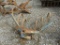 1 ROW CULTIVATOR