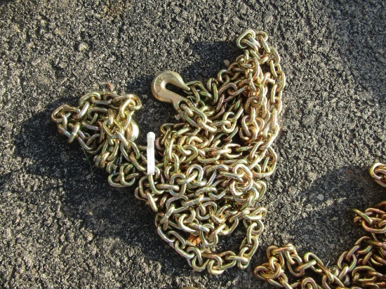 NEW 20FT GRADE 70 LOG CHAIN