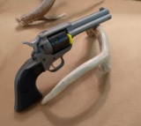 RUGER WRANGLER .22 LR REVOLVER