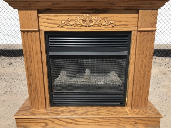 Gas Fireplace Insert