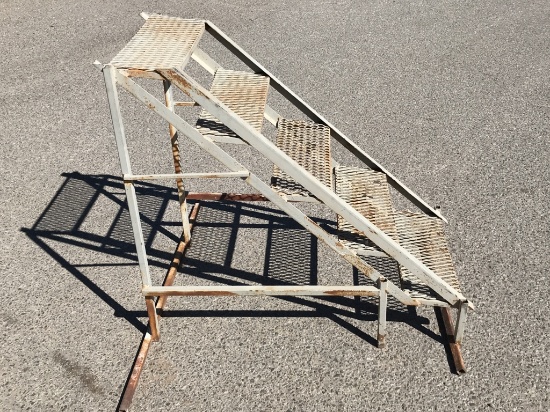 Steel Step Ladder