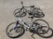 (2) Schwinn Bicycles