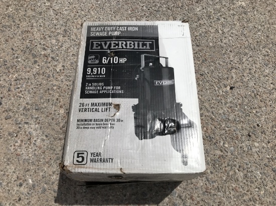 Everbilt 6/10HP Cast Iron Sewage Pump