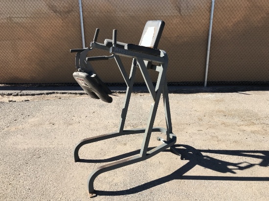 Cybex Upright AB Crunch Bench