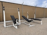 (3)pc ProMaxima Free Weight Workout Benches