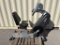 SCIFIT ISO 7000R Fitness Bike