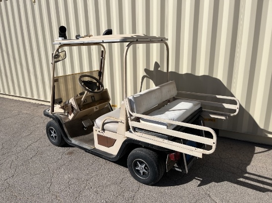 36V Electric Golf Cart w/ Rear Fold Down