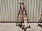 Werner 4FT Podium Ladder