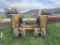 Woods M31800-3 Rotary Cutter