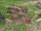Ferguson 3 Bottom Plow