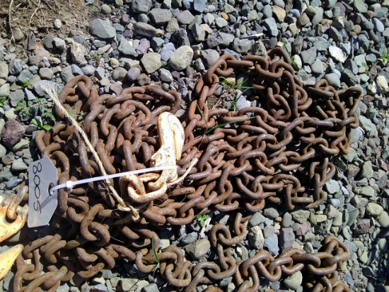Chain