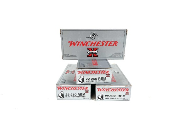 80 Rounds Winchester 22-250 55GR Soft Point Ammo