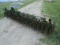 John Deere 400 Rotary hoe