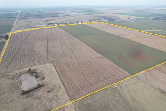 225 Ac +/- 3 Tract Auction in Inman, KS