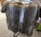 LADIES' FUR JACKET