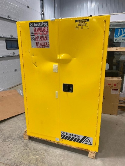 SAFETY CABINET, 65" X 43" X 18"