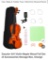 VIOLIN MAPLE WOOD SET