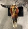 PAINT COW SKULL