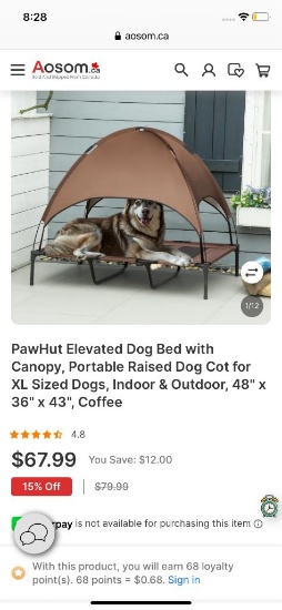 RAISED DOG BED WITH CANOPY
