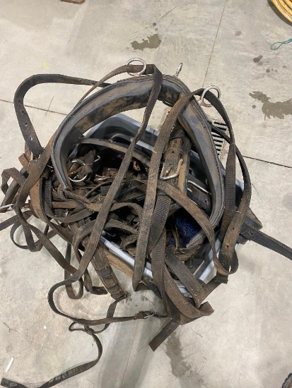 HORSE TACK