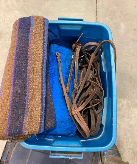 HORSE TACK