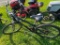 LADIES' BIKE IN GREAT SHAPE