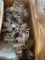 BOX OF METAL PIECES