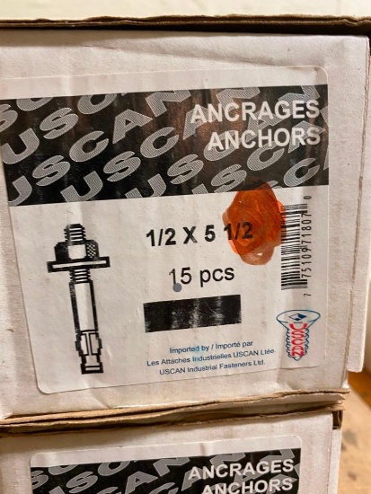 2 BOXES OF 15 PCS 1/2 x 5 1/2 ANCHORS