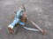 Gorman Irragation Pump