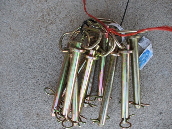 Hitch Pins (10)