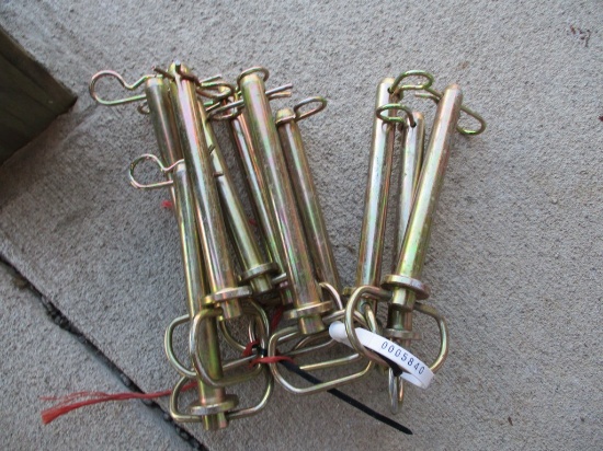 Hitch Pins (10)
