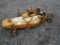 Woods RM 660 Finish Mower