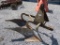 Dearbourn 2x Plow