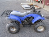 E-Ton Blue 4-Wheeler