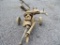 Marrlow Irrigation Pump