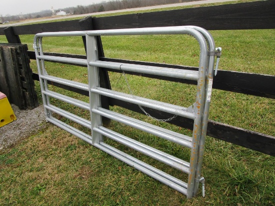2) 8' Galv.  Gates