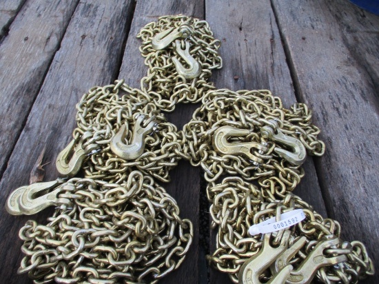 5) Grade 70 Chains w/ Hocks 16'