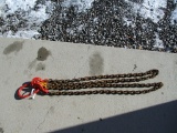 Chain Sling Double Leg