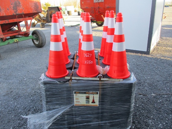250) 29" SAFETY CONES