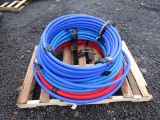 RED AND BLUE WATERLINE
