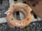 IH FRONT WHEEL WEIGHTS PAIR