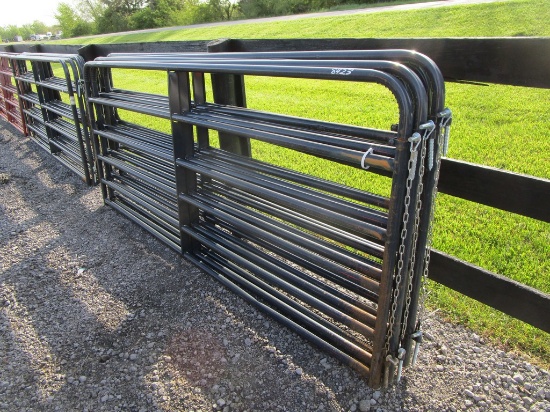 5) 10' GATES BLUE