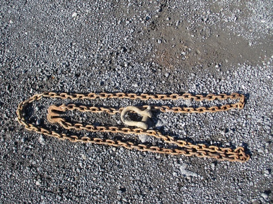 LOG CHAIN AND CLEVIS