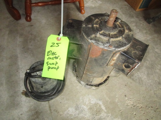 Electric motor, Sump pump